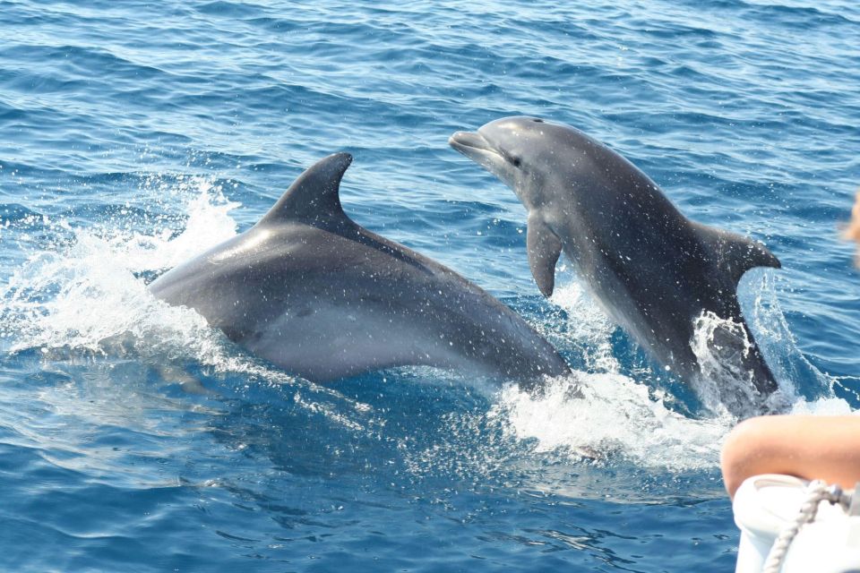 Taormina: Catamaran Rental - Multiple Stops for Snorkeling and Swimming