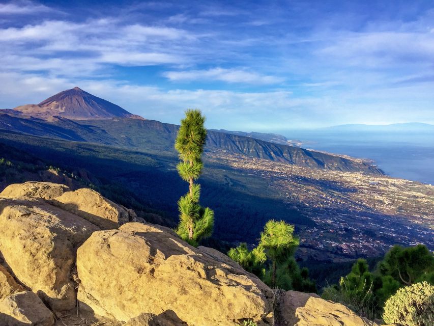 Tenerife Private Tour: Teide and Flavors of The North - Private Licensed Guide Expertise