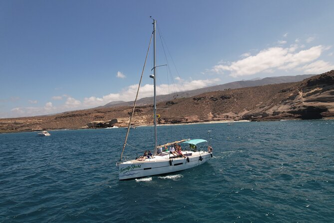 Tenerife Whale Watching and Snorkeling Yacht Trip - Traveler Capacity and Transportation