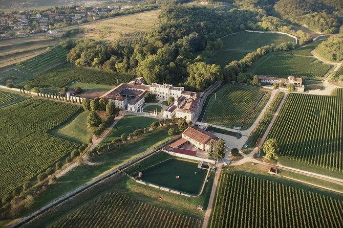 The Amarone Chateau Guided Tour and Tasting in Valpolicella - Sampling the Bertani Family Wines