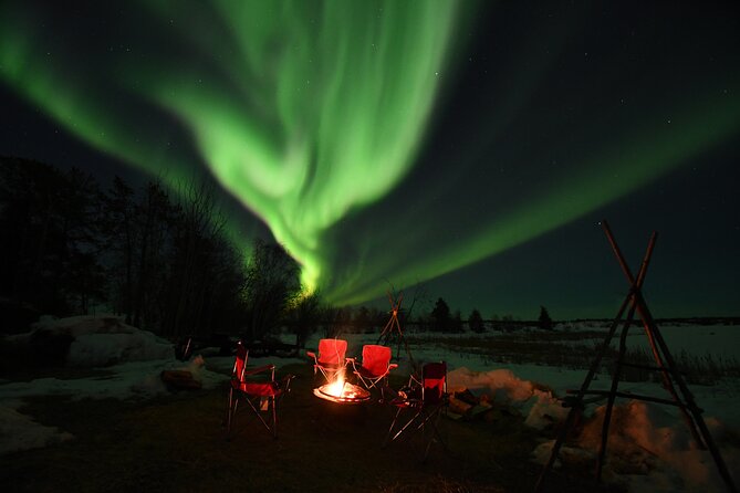 The Best Aurora Tour - Round-Trip Transfers From Yellowknife