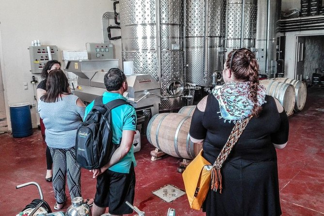 The Gourmet Wine Tour of Heraklion Area - Olive Oil Producer Tour