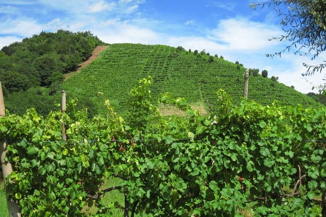 The Original Private Prosecco Tour All Inclusive From Conegliano - Cancellation and Refund Policy