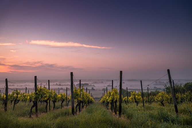 The Real Rioja Explore Tour - Private Experience - Guided Cellar Cave Tour