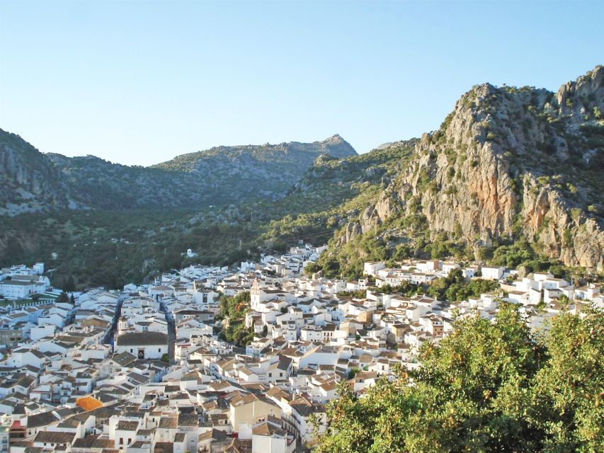 The White Towns of Andalusia: Private Day Trip From Cadiz - Highlights of the Day Trip