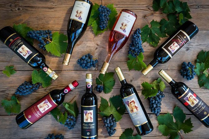 Tour and Tasting at an Organic Winery in the Heart of Chianti Classico Area - Refreshments and Light Bites Included