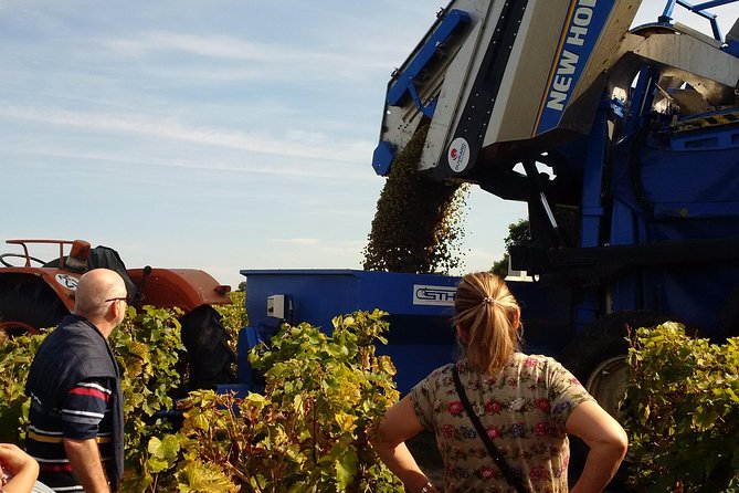 Tour of a Vineyard, Winery & Cellar With Wine Tasting in Vouvray, Loire Valley - Small-Group Tours With Personalization