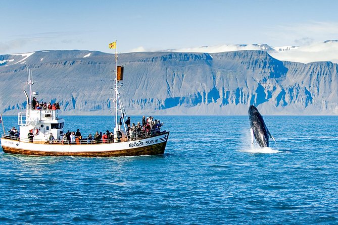 Traditional Oak Ship Whale Watching Tour From Husavik - Tour Duration and Scheduling