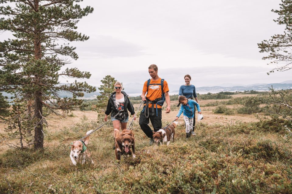 Tromsø: Husky Hike and Puppy Visit With Traditional Lunch - Transportation and Provided Equipment