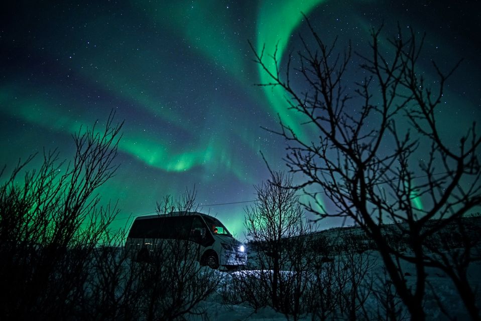 Tromsø: Northern Lights Chase Minibus Tour With Campfire - Important Information