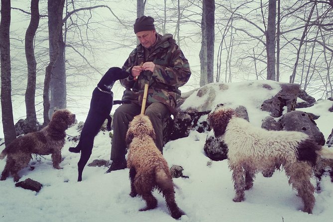 Truffle Hunting on Lake Bracciano With Lunch - Truffle-Infused Lunch Inclusions