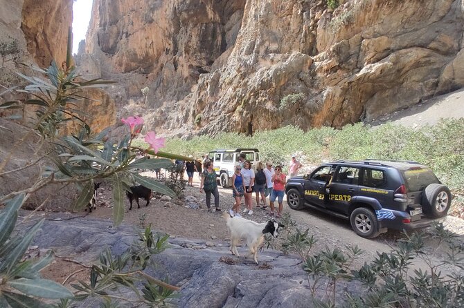 Trypiti Beach and Gorge Jeep Safari - Group Size and Traveler Considerations