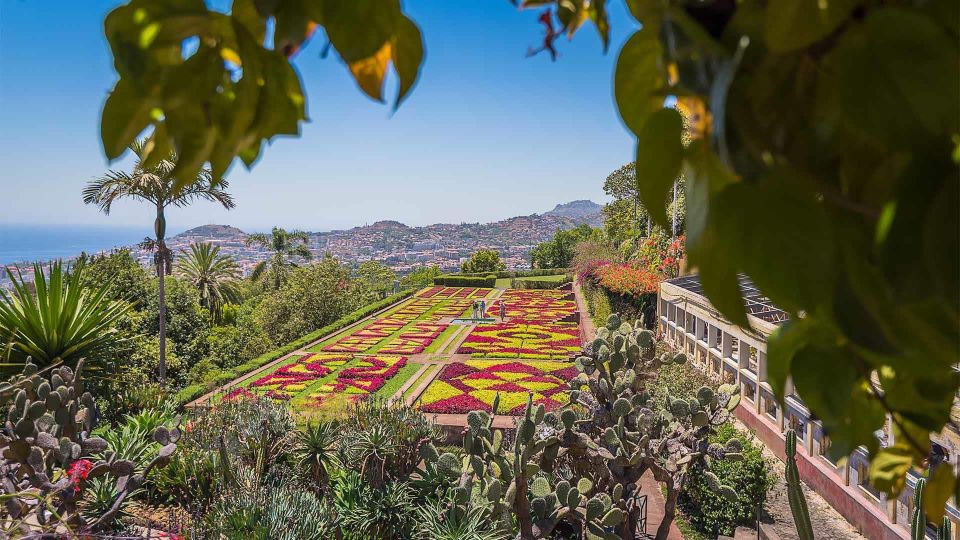 Tuk Tuk Botanical Garden - Madeira Island - Customer Feedback