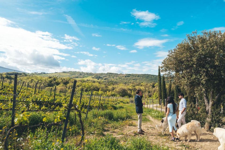 Tuscany: 3 Days as a Winemaker in Wine Resort With Pool - Highlights of the Resort