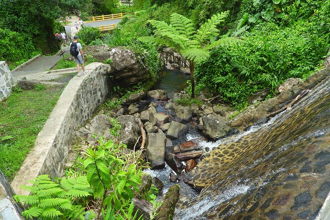 USDA El Yunque National Forest and Luquillo Beach Tour - Pickup and Nature Walk