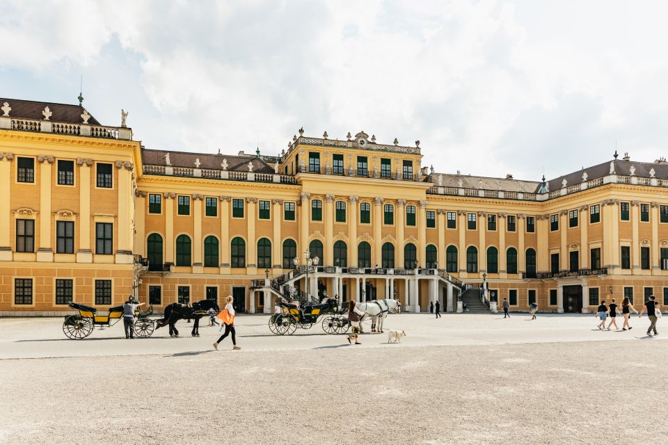 Vienna: Panorama Train Tickets to Explore Schönbrunn Palace - Accessibility Features