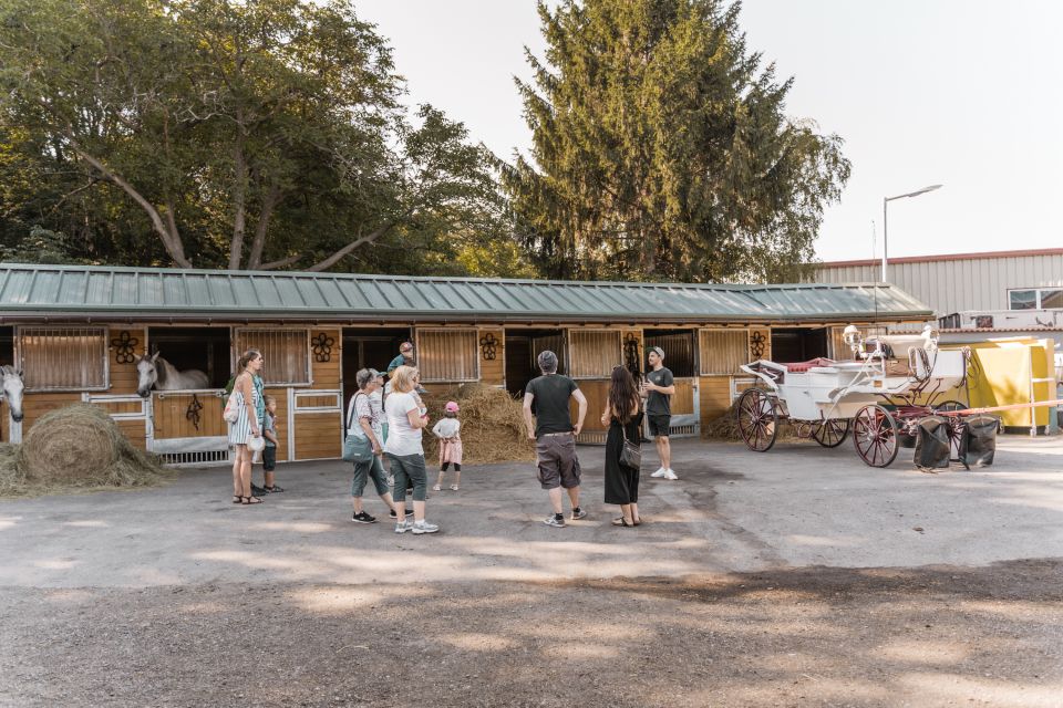 Vienna: Secrets of the Fiaker & Horse-Drawn Carriage Ride - Guided Tour of Fiaker Stable