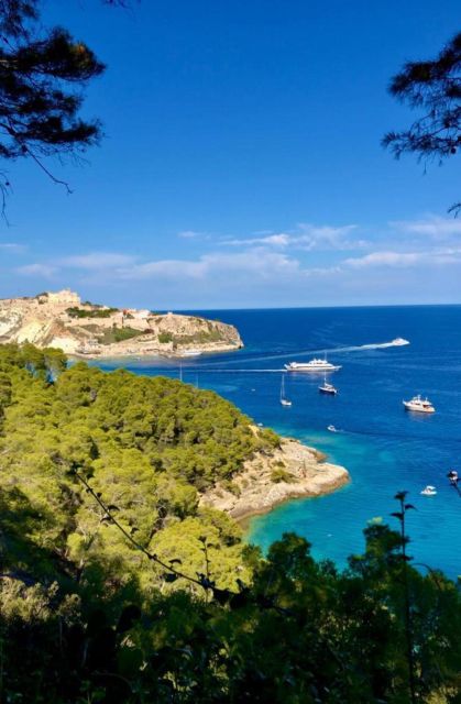 Vieste - Tremiti Islands: Private Tour by Dinghy - Swim in the Marine Park