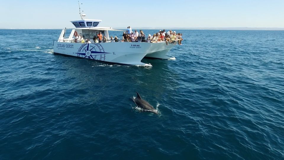 Vilamoura: Boat Tour Dolphin Quest - Customer Reviews