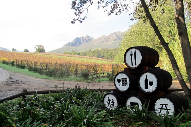 Vine Hopper: Hop-On Hop-Off Wine Tour - Southern Route - What to Expect