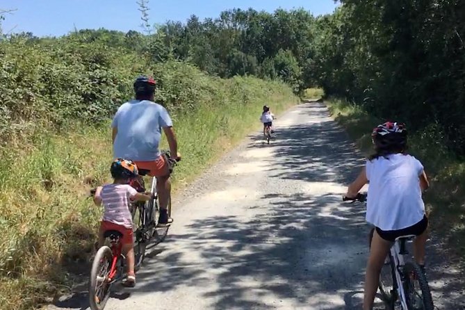 Vineyard Cycle Tours in and Around Chinon, in the Loire Valley - Wine Tasting and Learning