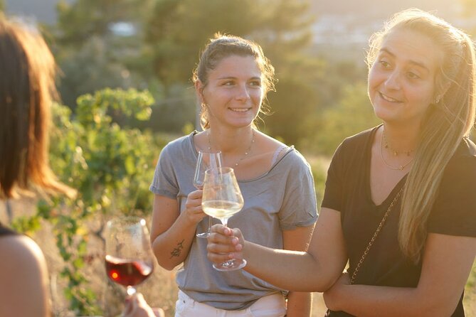 Vineyard Tour With Wine Tasting Within Nice City Borders - Understanding the Wine Production Process