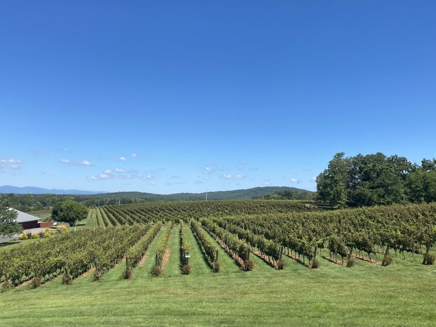 Virginia Wineries Tours: Experience Virginia Wineries - Transportation and Pickup