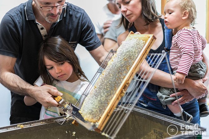 Visit - Immersion in the Heart of the Bee World! - Tasting of Organic Honeys