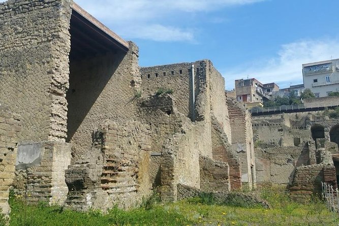 Visit to the Archaeological Park of Herculaneum - Booking Confirmation and Cancellation