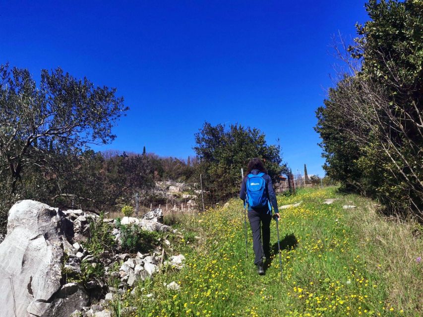 Walking Through Ancient Konavle Villages With a Tasty Finish - Important Information