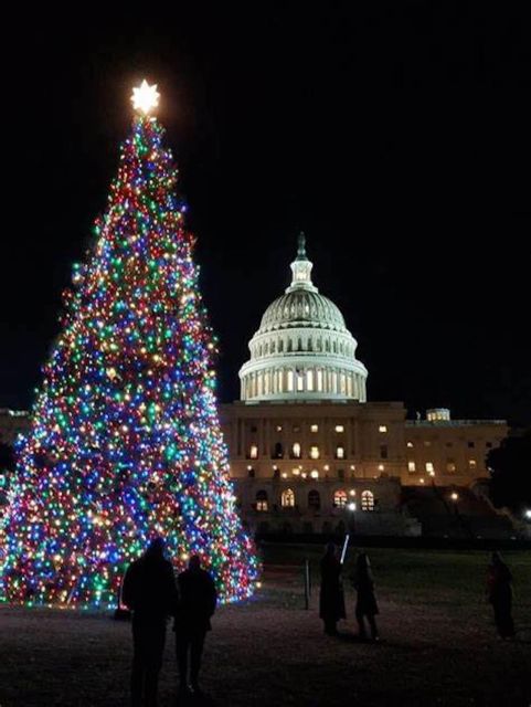 Washington DC: Moon Light Tour of National Mall & Memorials - Inclusions