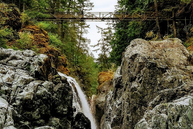 Waterfalls, Cathedral Grove Rainforest, and Coombs Adventure With Hiking - Additional Information