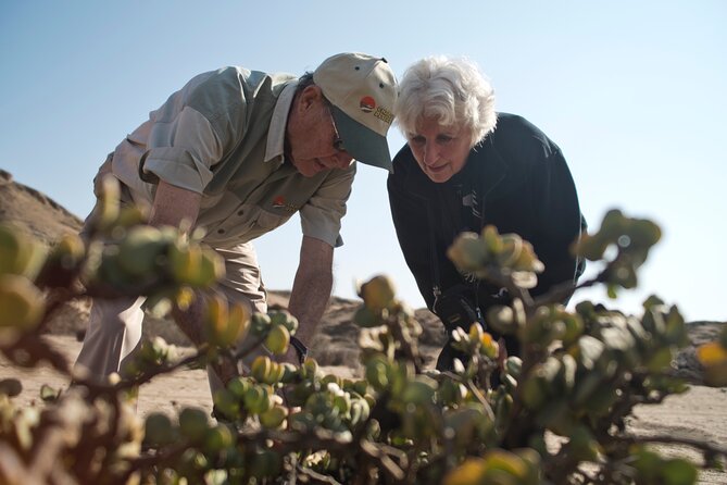 Welwitschia Tour From Swakopmund - Reviews