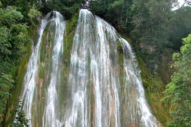 Whale Watching & Limón Waterfall Day Trip - Tour Details