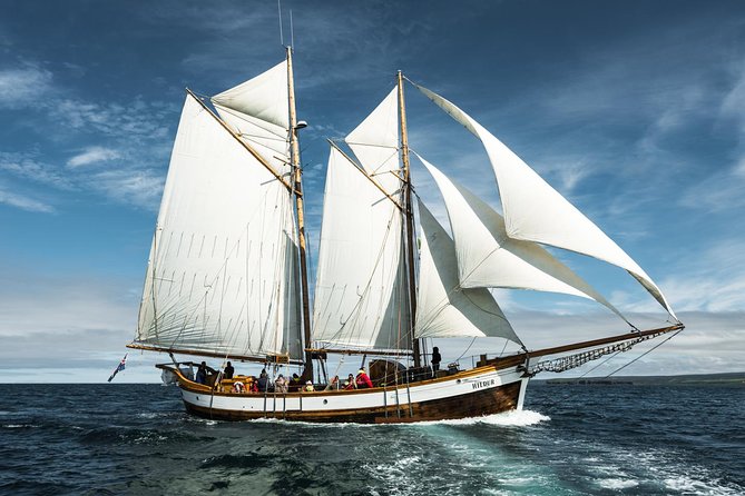 Whale Watching on a Traditional Oak Sailing Ship From Husavik - Cold-Weather Suits and Amenities