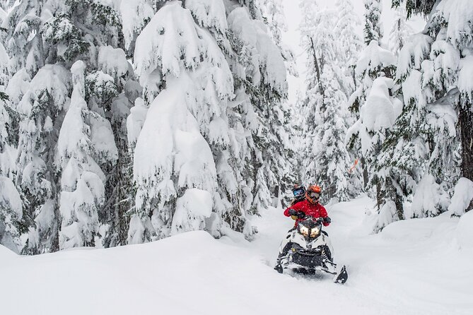 Whistler Wilderness Run Snowmobile Tour - Tour Dates and Duration