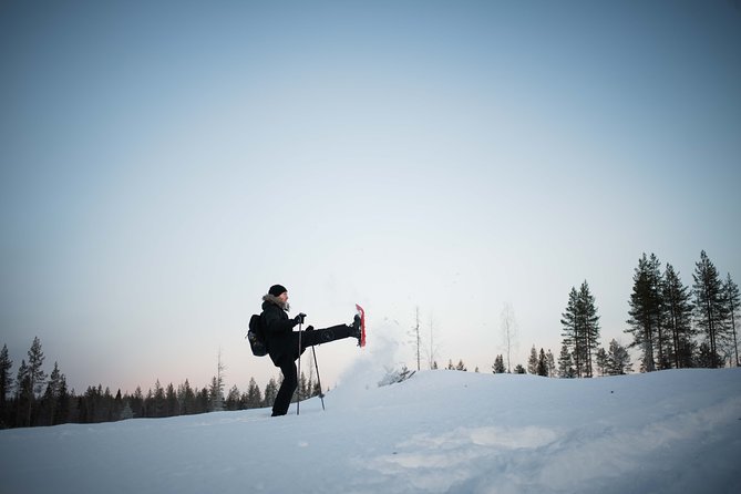 Wilderness Snowshoe Adventure - Reviews and Pricing