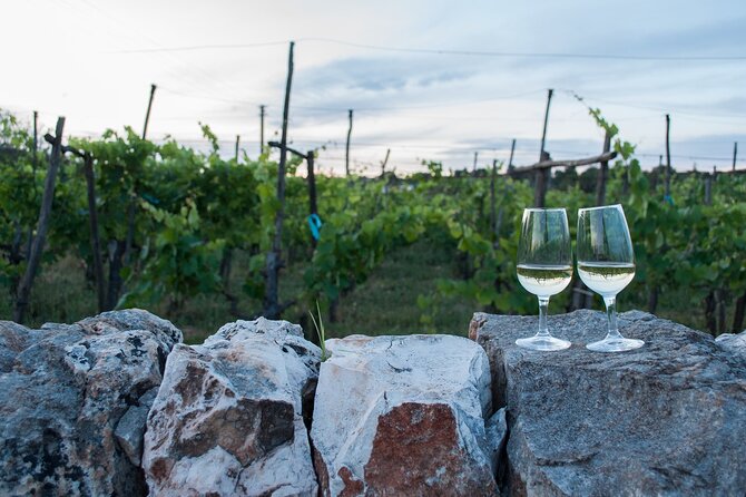 Wine Ostuni, Tour of an Apulian Winery With Traditional Lunch or Aperitivo - Dietary Restrictions