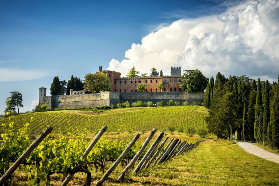 Wine Tasting in Brolio Castle Gardens From Florence by Car - Wine Tasting in Castle Cellars