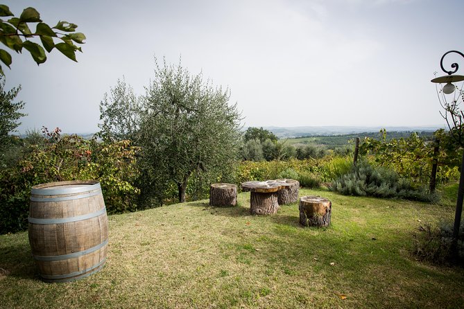 Wine Tour Experience at Agricola Tamburini - Hospitality and Ambiance