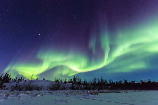 Yellowknife Tours - Aurora by Bus - Booking and Cancellation