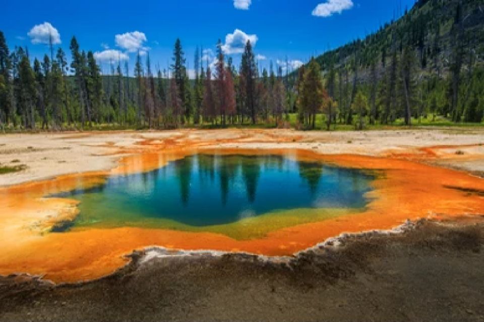 Yellowstone Old Faithful, Waterfalls, And Wildlife Day Tour