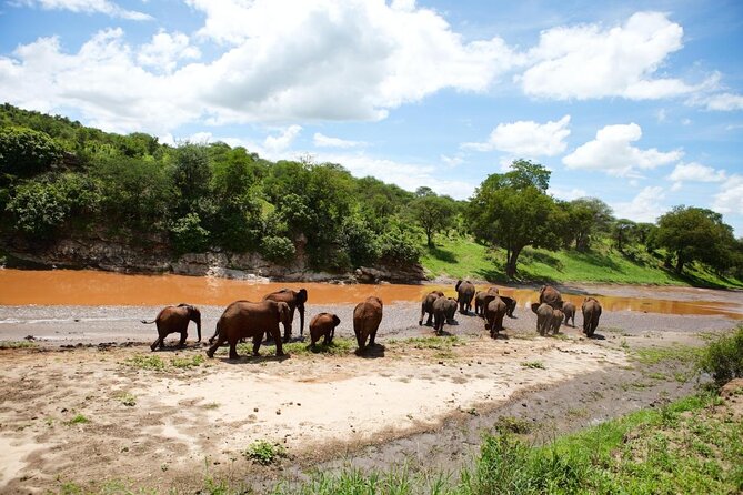 5-Day Highlights Mid-Range Crater, Serengeti, Tarangire - Key Points