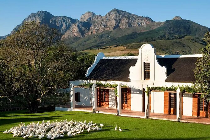 1 Day Winelands Explore - Cape Wine Region With Private Transfer - Pickup and Drop-off