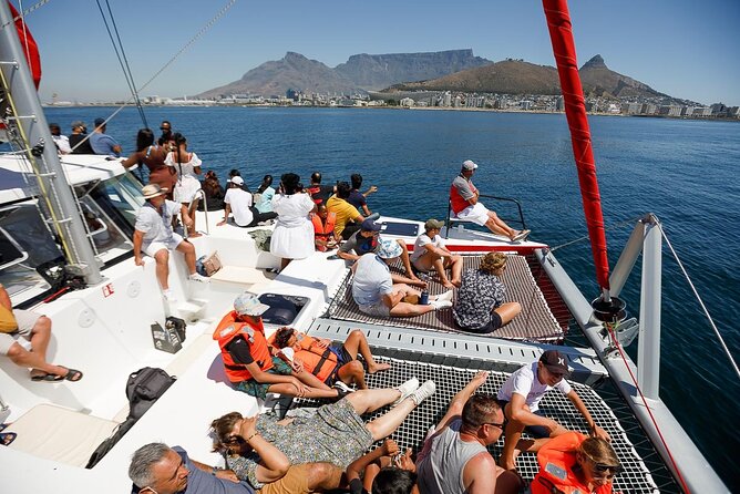 1- Hour Catamaran Cruise Cape Town - Attraction Highlights