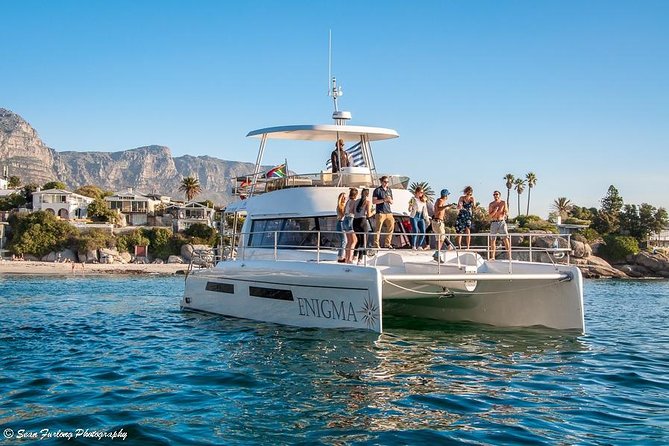 1 Hour Coastal Catamaran Cruise From Cape Town - Guest Reviews