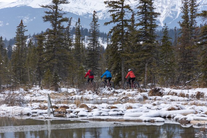 1-Hour Guided Group Fat Bike Tour - Safety Considerations