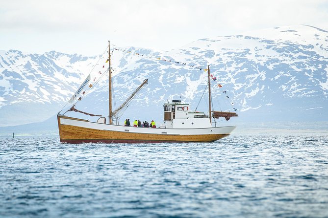 1 Hour Photo & History Cruise - Discover Tromsøs Landmarks