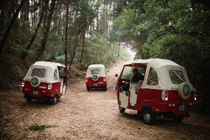 1 Hour Private Tuk-Tuk Tour in Sintra - Cancellation and Booking Policies