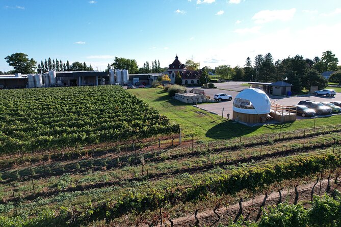 1 Hour Private Vineyard Dome Experience in Niagara-on-the-Lake - Duration and Exclusivity